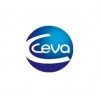 Ceva