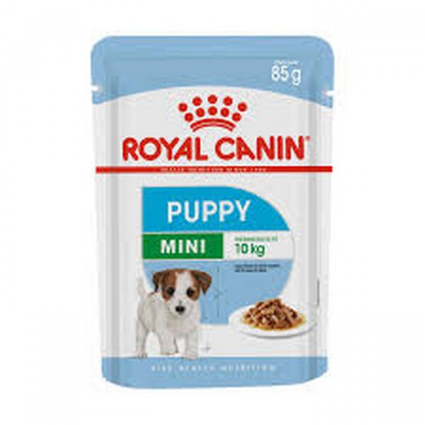 Ração Úmida Royal Canin Mini Puppy Cães Filhotes 85g