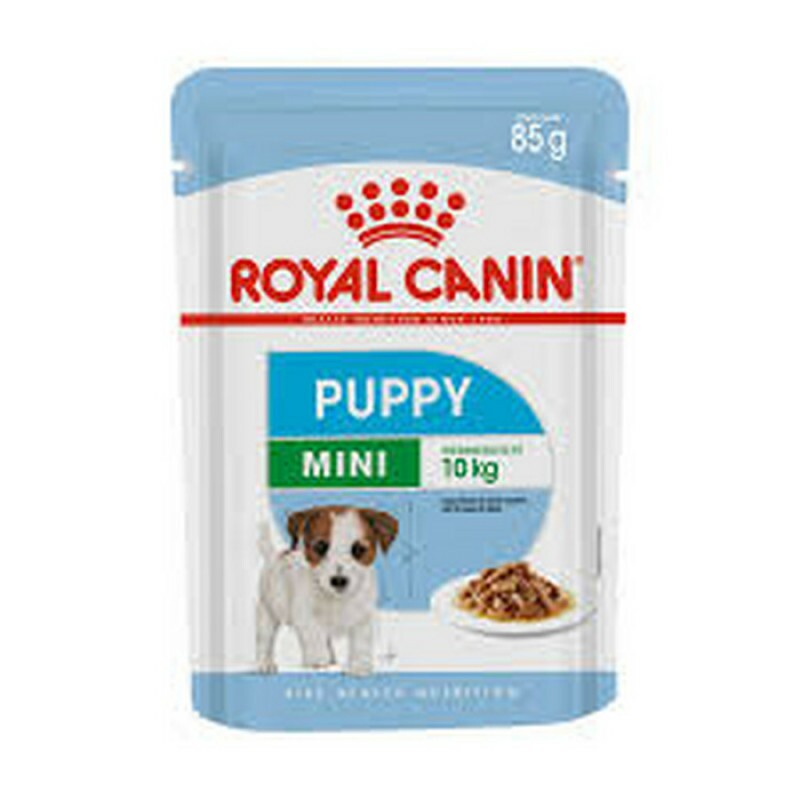 Ração Úmida Royal Canin Mini Puppy Cães Filhotes 85g