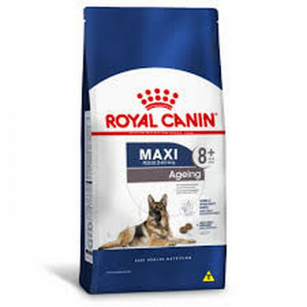 Ração Seca Royal Canin Maxi Ageing 8+ para Cães Idosos Porte Grande 15KG - UN