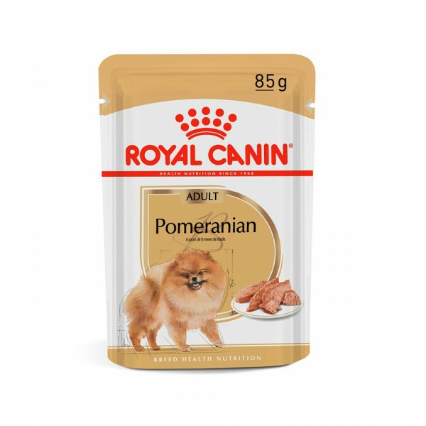 Ração Úmida Royal Canin Sachê Pomeranian para Cães Adultos 85 g