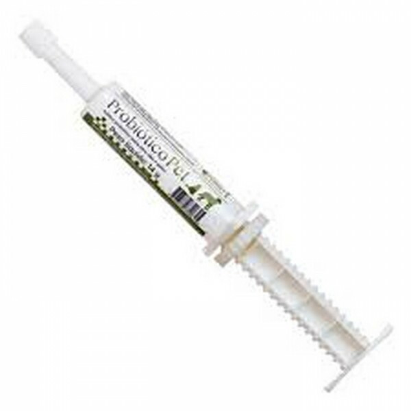 Probiótico Pet Avert para Cães e Gatos 14g