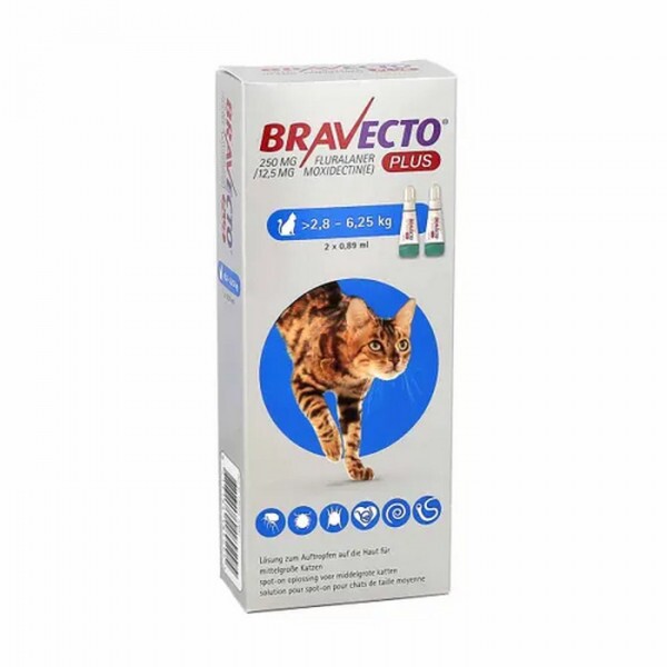 Anti Pulgas Bravecto Plus para Gatos de 2,8kg a 6,2kg