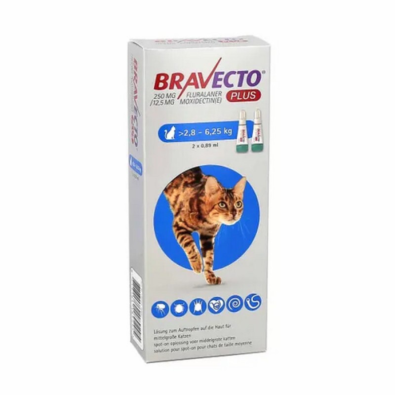 Anti Pulgas Bravecto Plus para Gatos de 2,8kg a 6,2kg