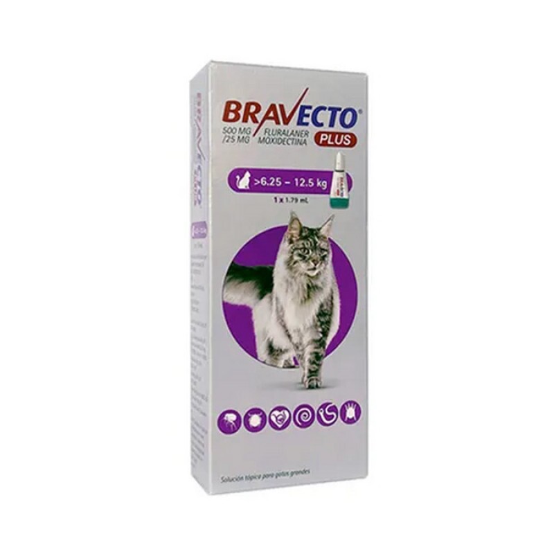 Anti Pulgas Bravecto Plus para Gatos de 6,24kg a 12,5kg